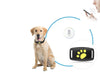 CatGuard GPS – Tracker per gatti in tempo reale senza abbonamento