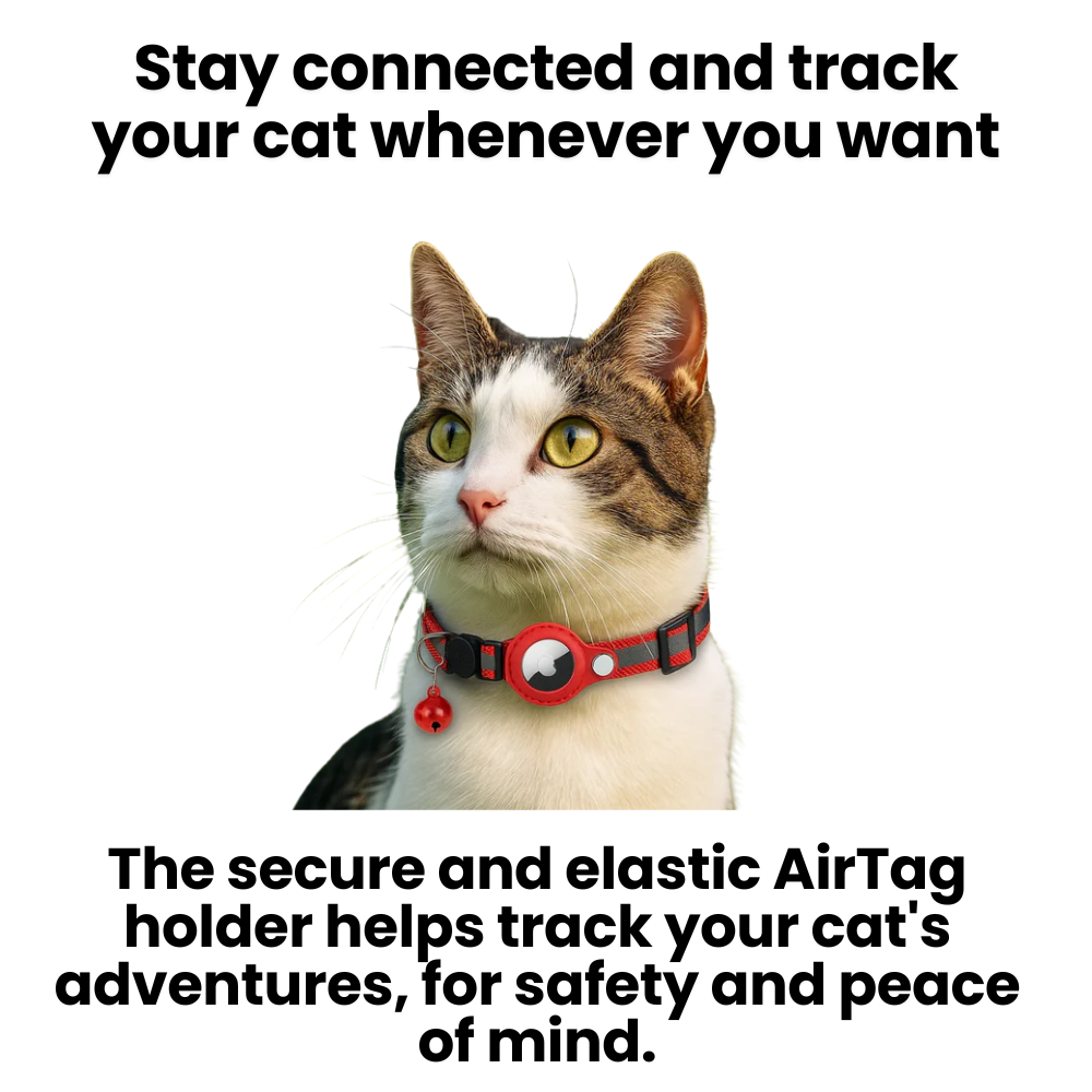 CATSAFE – GPS-Katzenhalsband mit Reflexdesign und Sicherheitsverschluss