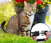 CATSAFE – GPS-Katzenhalsband mit Reflexdesign und Sicherheitsverschluss