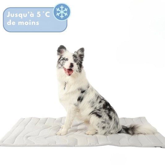 CoolPaws Tappetino Rinfrescante – Tappetino per Cani Autorefrigerante per le Calde Giornate Estive & Quattro Zampe Rilassate