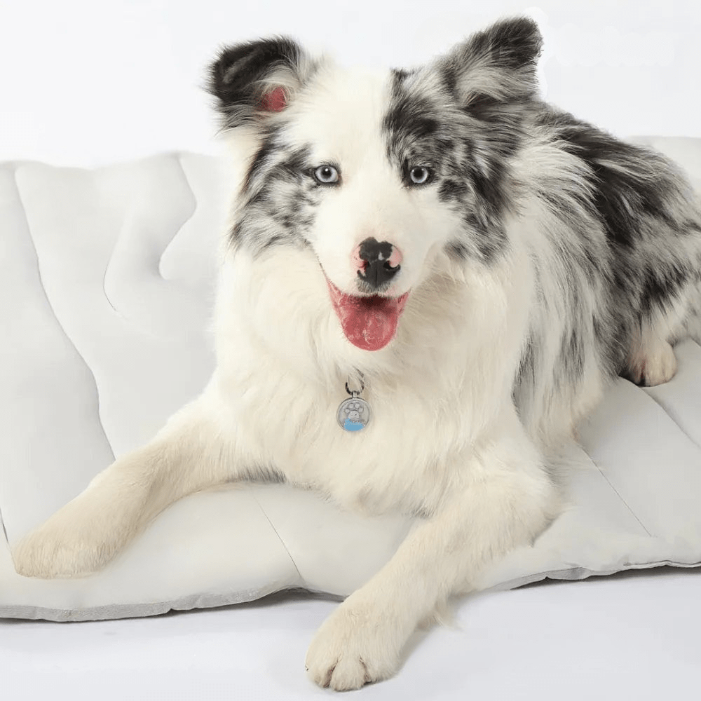 CoolPaws Tapis Rafraîchissant – Tapis Auto-Rafraîchissant pour Chiens pour les Chaudes Journées d'Été & des Compagnons Détendus