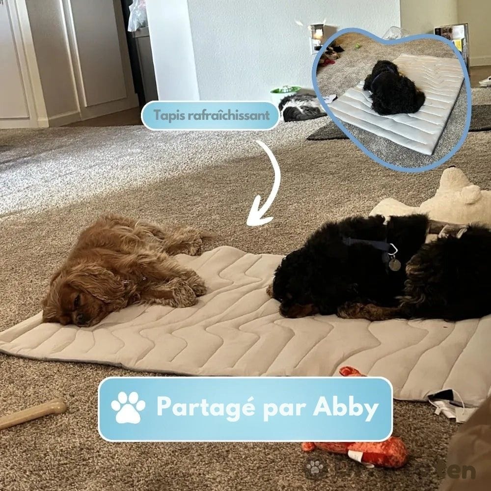 CoolPaws Tapis Rafraîchissant – Tapis Auto-Rafraîchissant pour Chiens pour les Chaudes Journées d'Été & des Compagnons Détendus