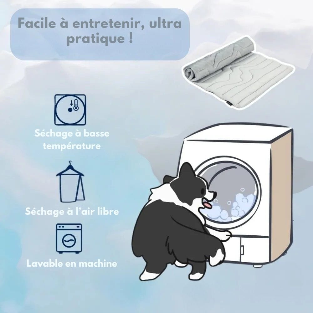 CoolPaws Tapis Rafraîchissant – Tapis Auto-Rafraîchissant pour Chiens pour les Chaudes Journées d'Été & des Compagnons Détendus