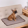 DogCool – Tapis rafraîchissant pour chiens pour les journées chaudes et les compagnons détendus
