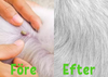 COLLAR FLASHIELD – Collier antiparasitaire végétal contre puces et tiques pour chiens et chats