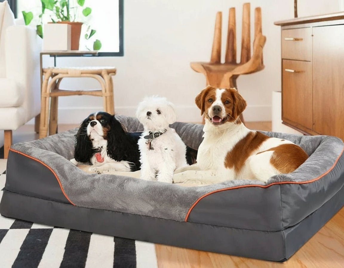 FURPAL – Premium-orthopädisches Hundebett – Jumbo-Schaumstoffbasis 4