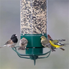 FeederGuard – Eichhörnchenfestes Vogelhaus mit rotierender Sitzstange