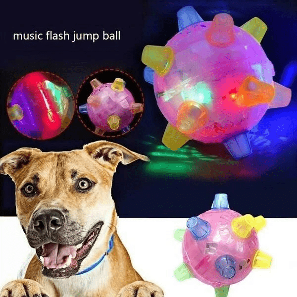 PLAYORB – Pelota interactiva LED para perros