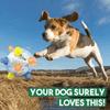 PLAYORB – Pelota interactiva LED para perros