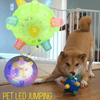 PLAYORB – Pelota interactiva LED para perros