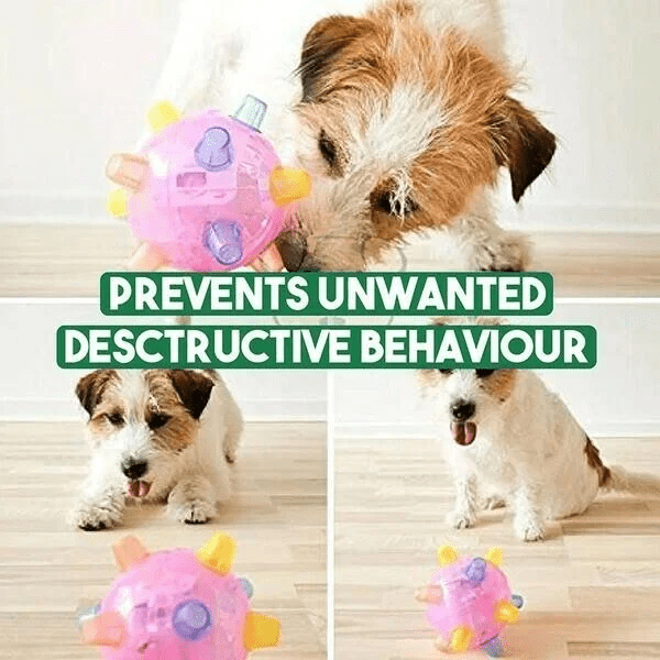 PLAYORB – Pelota interactiva LED para perros