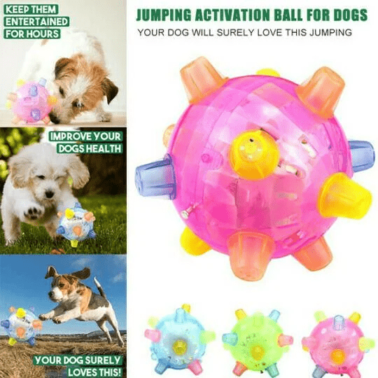 PLAYORB – Pelota interactiva LED para perros