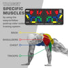 FlexIFit – Planche push-up pliable avec 30 positions pour un entraînement musculaire ciblé