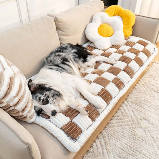 COZYCOVER – Coperta accogliente per animali domestici in ciniglia con funzione di protezione per mobili