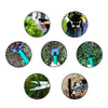 GARDENMASTER – Ensemble complet d'outils de jardin pour un jardinage sans effort