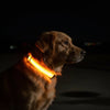 GLOWBITE – Reflektierendes LED-Halsband für Hunde, verstellbar und hell 11