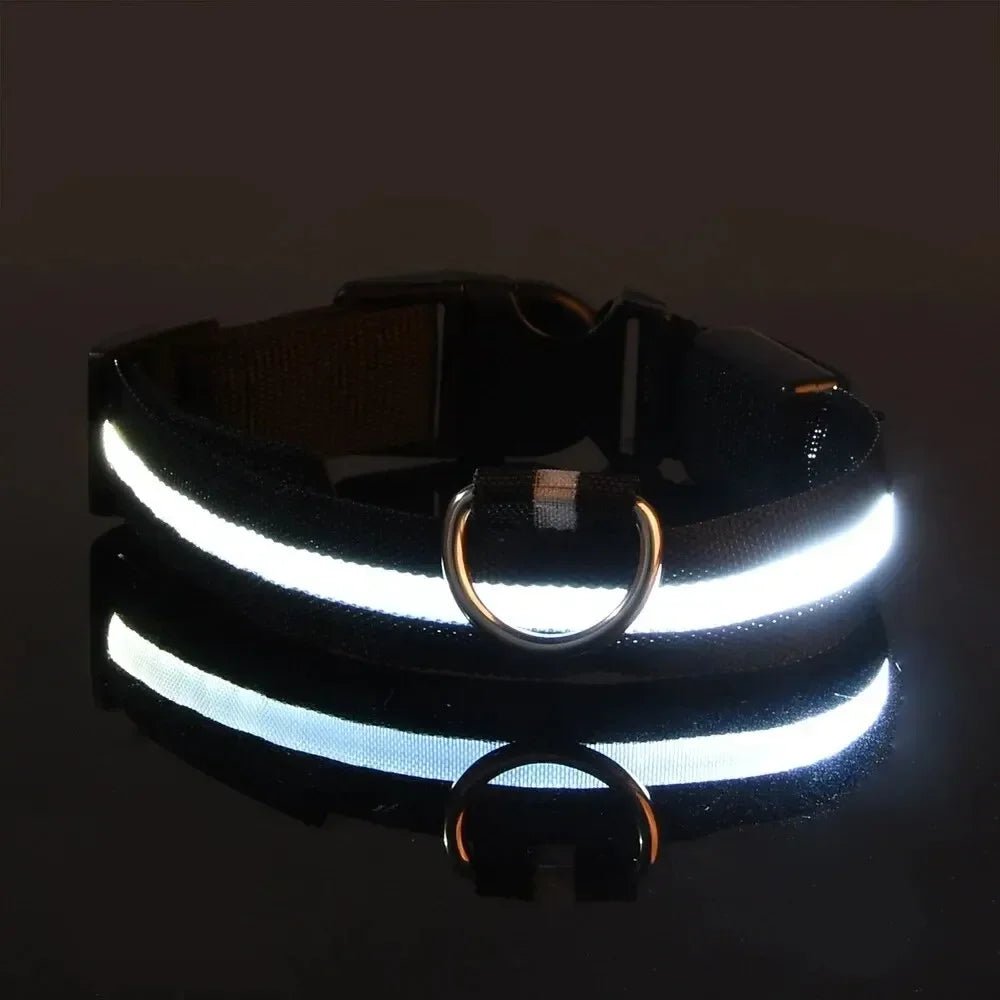 GLOWBITE – Reflektierendes LED-Halsband für Hunde, verstellbar und hell 12