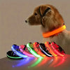 GLOWBITE – Reflektierendes LED-Halsband für Hunde, verstellbar und hell 2