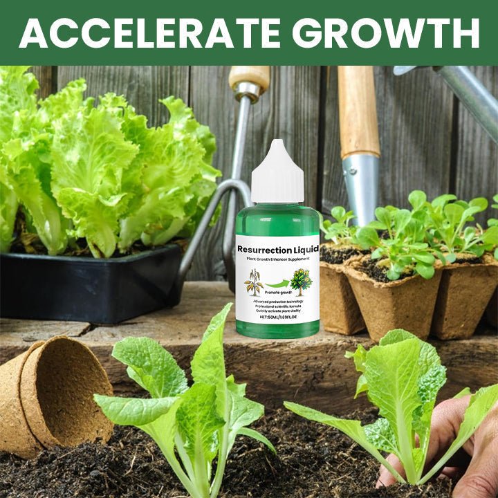 ROOTNOVA – Tónico para plantas para un crecimiento saludable y raíces fuertes
