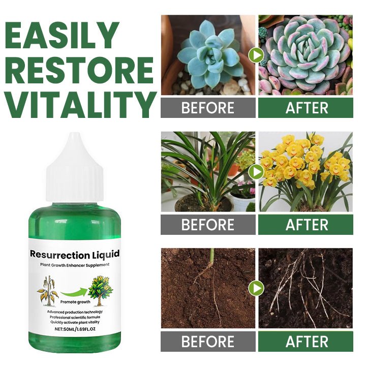 ROOTNOVA – Tónico para plantas para un crecimiento saludable y raíces fuertes