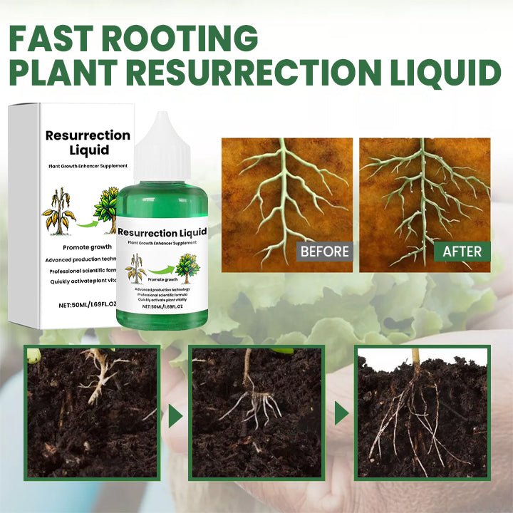 ROOTNOVA – Tónico para plantas para un crecimiento saludable y raíces fuertes