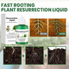 ROOTNOVA – Tónico para plantas para un crecimiento saludable y raíces fuertes
