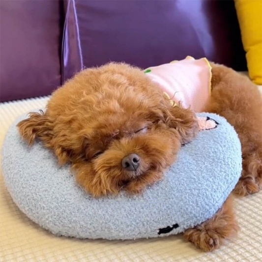 PETEASE LUXURY – Orthopädisches Hundekissen gegen Stress & Gelenkschmerzen
