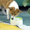 PET SPLASH BOWL – Gamelle anti-éclaboussures pour chiens et chats avec design anti-bavouille
