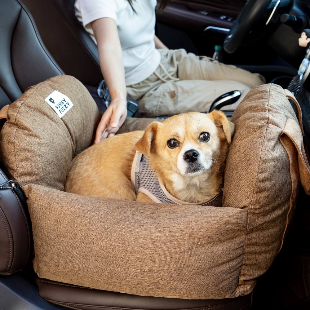 TRAVELPUP – Sicheres Hundesitzbett für Auto & Zuhause