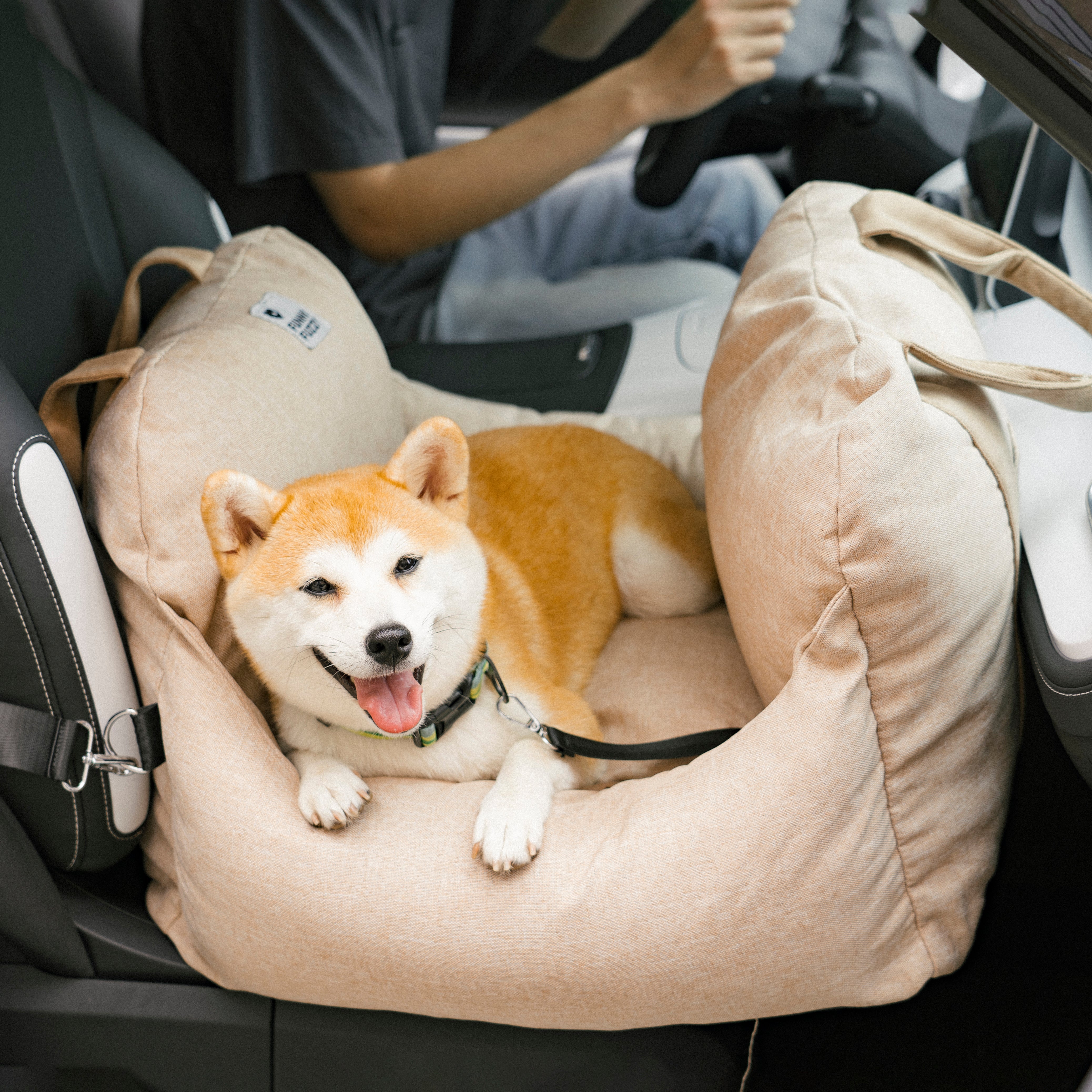 TRAVELPUP – Sicheres Hundesitzbett für Auto & Zuhause