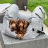 TRAVELPUP – Sicheres Hundesitzbett für Auto & Zuhause