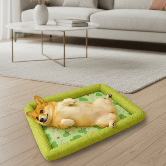 ICEBUDDY – Kühlendes Hundebett für kleine und mittelgroße Hunde 1
