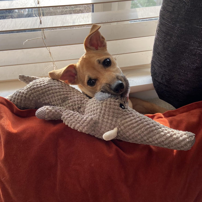 TOUFFY – Unzerstörbares Hundespielzeug aus Jeansstoff für kleine & große Hunde