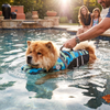 Sicherheits-Schwimmweste für Hunde mit Rettungsgriff