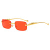 LEOVUE – Gafas de sol sin montura con cabeza de leopardo y protección UV400