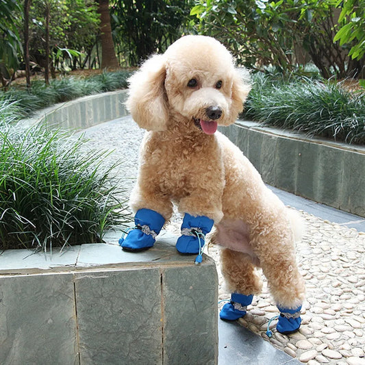 Hunde Pfotenschuhe für den Winter