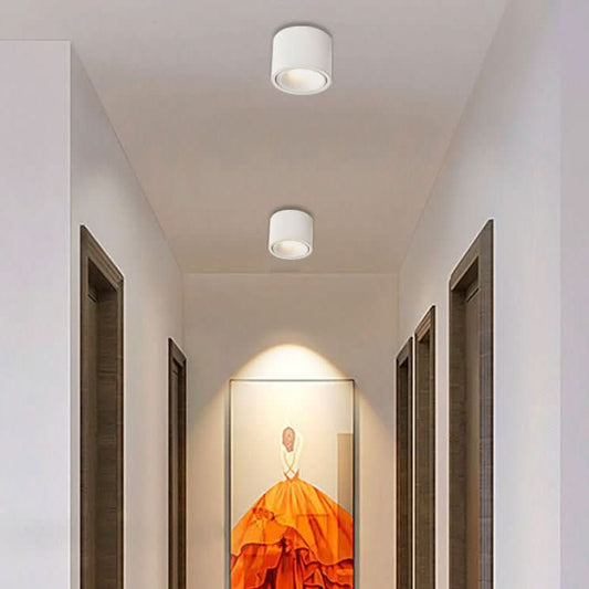 LUMICIRCLE – Minimalistische LED Deckenleuchte mit verstellbarem Spot