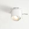 LUMICIRCLE – Minimalistische LED Deckenleuchte mit verstellbarem Spot