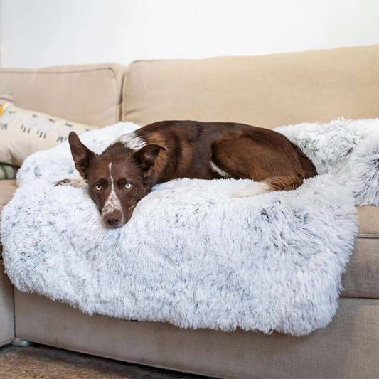 PLUSHGUARD
