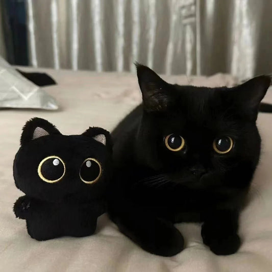 LITTLPURR – Schwarzes Plüschkätzchen 10 cm für Kinder