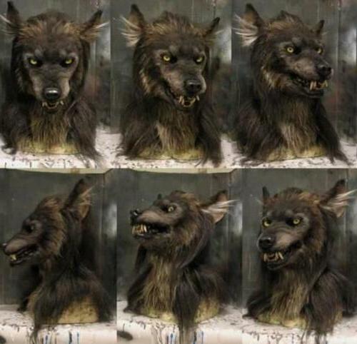 NIGHTHOWL – Realistische Werwolfmaske für Halloween & Cosplay