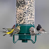 NutriGuard – Mangeoire à oiseaux anti-écureuil avec distributeur de nourriture à commande de poids