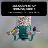 NutriGuard – Mangeoire à oiseaux anti-écureuil avec distributeur de nourriture à commande de poids