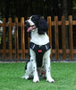 Arnés WalkEase – Arnés para perros anti-tirones para paseos relajados