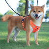 Arnés WalkEase – Arnés para perros anti-tirones para paseos relajados