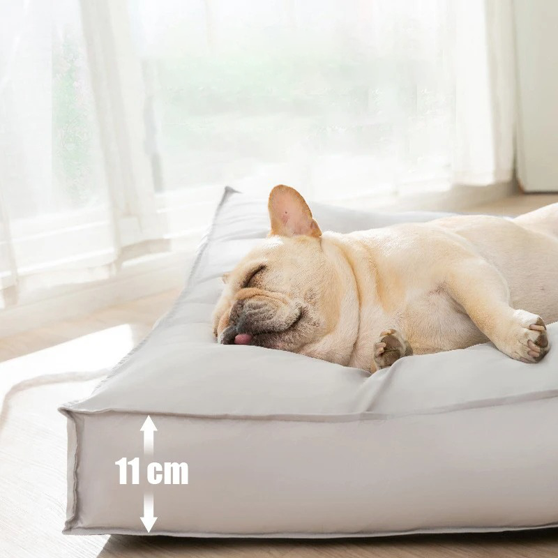 PawComfort – Lit orthopédique pour chien lavable en mousse à mémoire de forme, étanche et résistant aux rayures