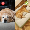 PawRest – Lit orthopédique pour chien avec soutien et confort optimaux