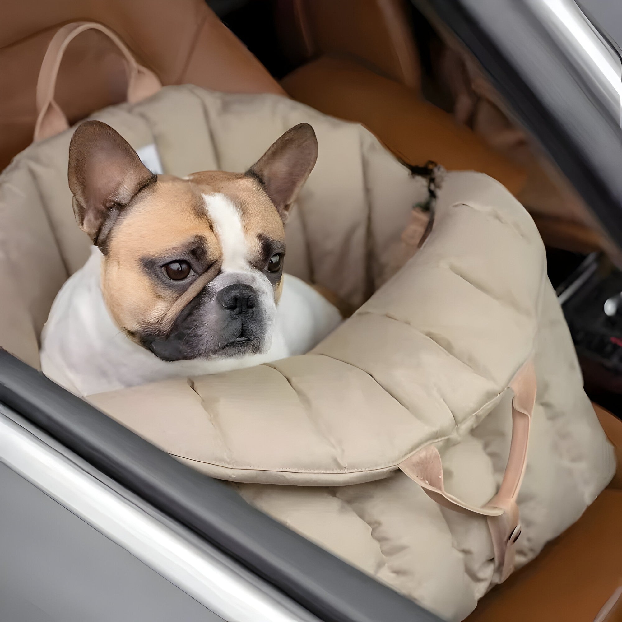 PawWalker Go – Leichtes Design für müheloses Tragen 1