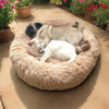 Beruhigendes Hundebett – Superweich & Komfortabel für entspannte Nächte-4