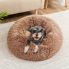 Beruhigendes Hundebett – Superweich & Komfortabel für entspannte Nächte-6